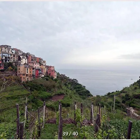 Casa Corniglia 克里日亚